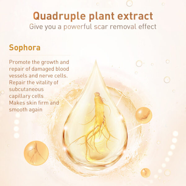 Traditional Chinese Medicine Scar Removal Cream Care Cream Skin Care Products - Image 5