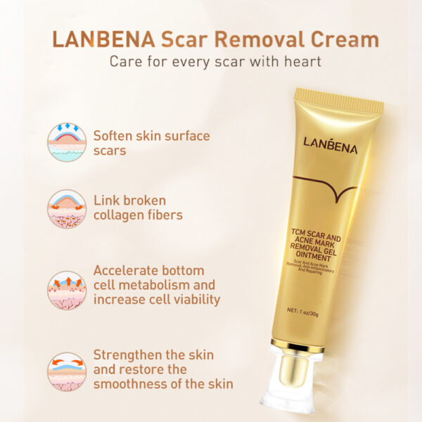 Traditional Chinese Medicine Scar Removal Cream Care Cream Skin Care Products - Image 4